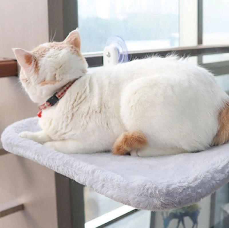 Cozy Cat Hammock - Aussiethrive